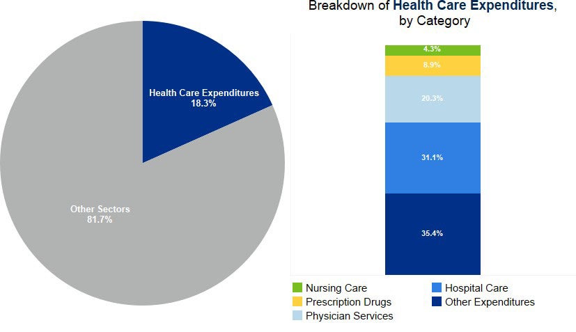 Chart 5.1: National Health Expenditures as a Percentage of Gross Domestic Product and Breakdown by Category, 2021 